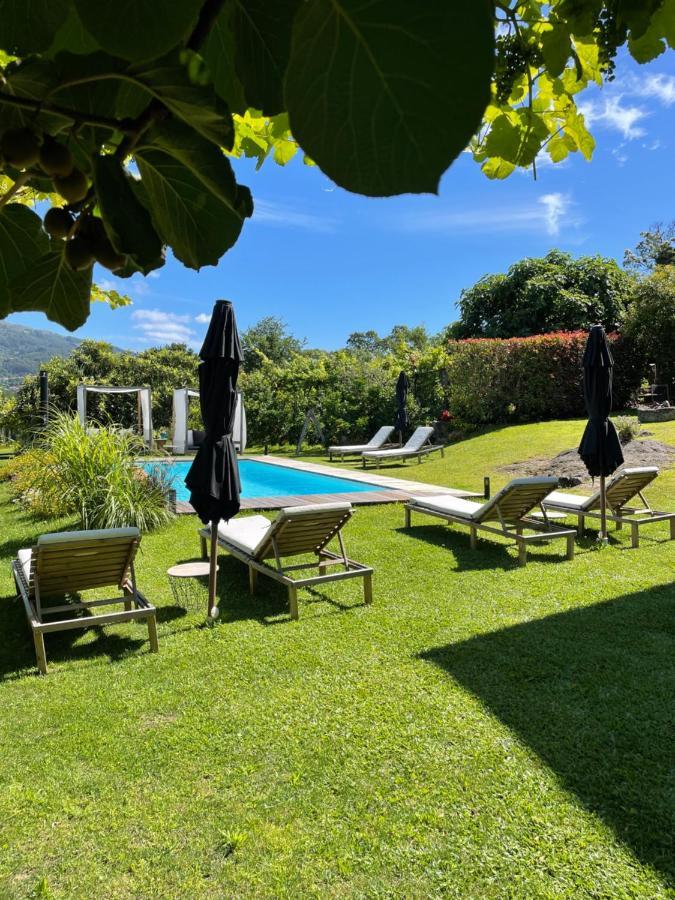Villa D'Aurora Country Suites Ponte de Lima Eksteriør billede