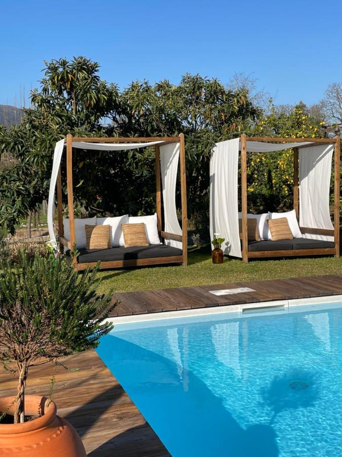 Villa D'Aurora Country Suites Ponte de Lima Eksteriør billede