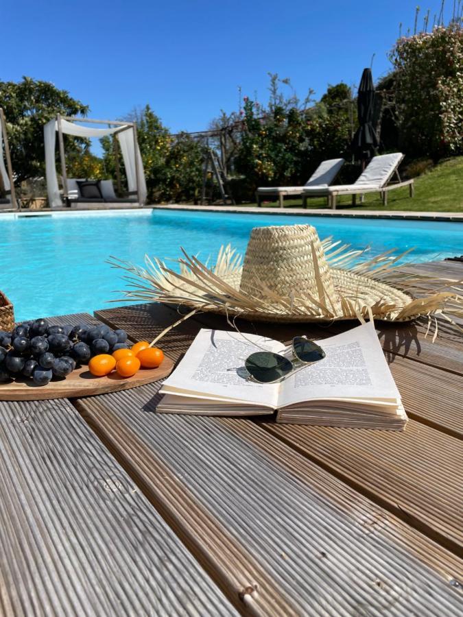 Villa D'Aurora Country Suites Ponte de Lima Eksteriør billede